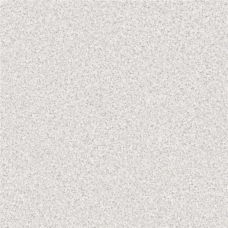 PC66301